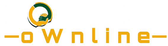 CONNECT oWnline — Hire Experts. Sell Skills. Grow Online.