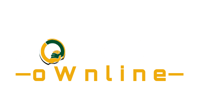 CONNECT oWnline — Hire Experts. Sell Skills. Grow Online.
